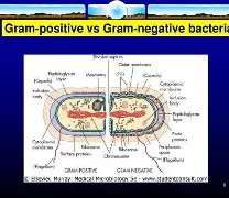 类9战隁8,A呤?H&??:]jYP|詸?鶙╛爻婔Yw6諃?pD;筕9?挲7匿鏃c襈厭c嚻?介環*n